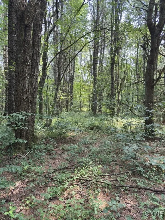 Hall Road, Russia, New York 13324, Russia, New York 13324, ,Land,For Sale,Hall Road, Russia, New York 13324,0,S1634420