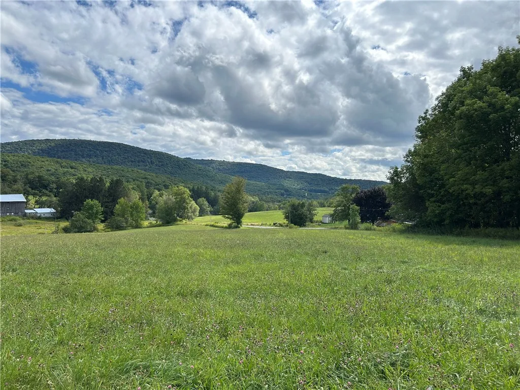 Gladstone Hollow, Andes, New York 13731, Andes, New York 13731, ,Land,Closed,Gladstone Hollow, Andes, New York 13731,0,R1634268