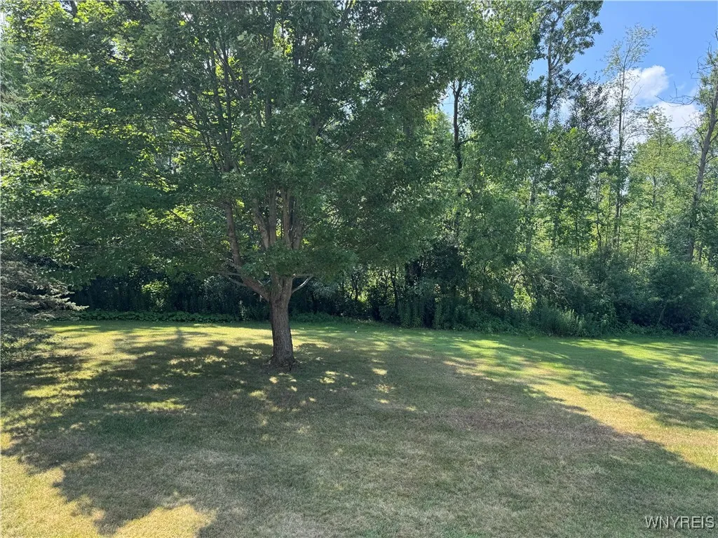 Private yard backs to woods