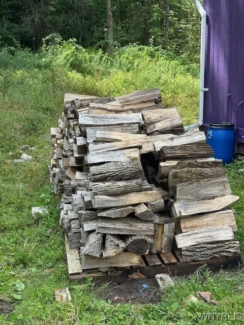 Lots of Firewood