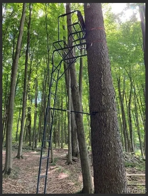 Treestand