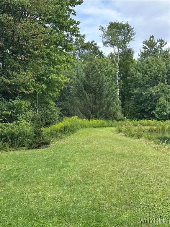 Nice path for strolling