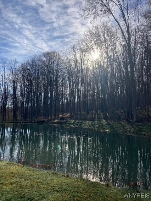 Winter photo