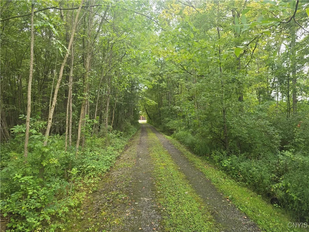 8281 Lewis Point Road, Lenox, New York 13032, Lenox, New York 13032, 3 Bedrooms Bedrooms, 6 Rooms Rooms,1 BathroomBathrooms,Residential,Closed,8281 Lewis Point Road, Lenox, New York 13032,0,S1634100