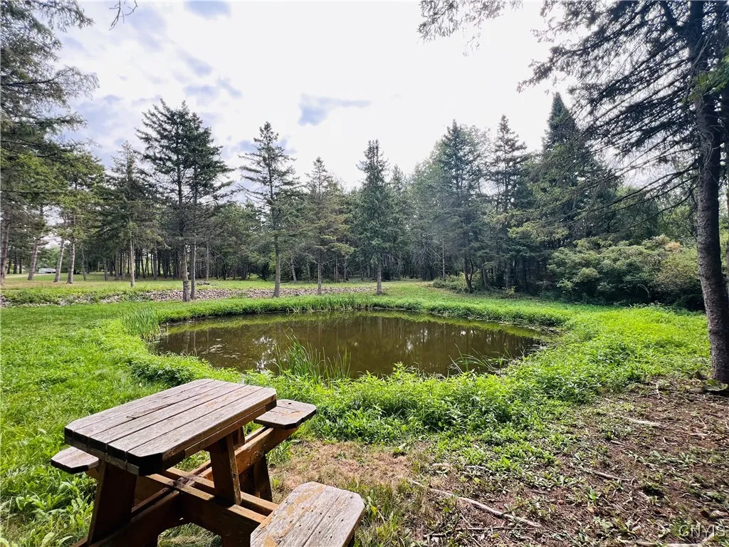 James Street, Clayton, New York 13624, Clayton, New York 13624, ,Land,For Sale,James Street, Clayton, New York 13624,0,S1634249