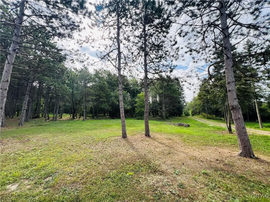 James Street, Clayton, New York 13624, Clayton, New York 13624, ,Land,For Sale,James Street, Clayton, New York 13624,0,S1634249