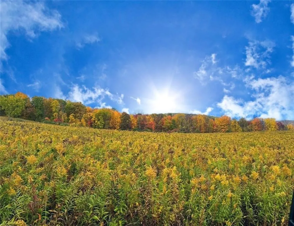 Sagetown Road, Southport, New York 14871, Southport, New York 14871, ,Land,For Sale,Sagetown Road, Southport, New York 14871,0,R1634500