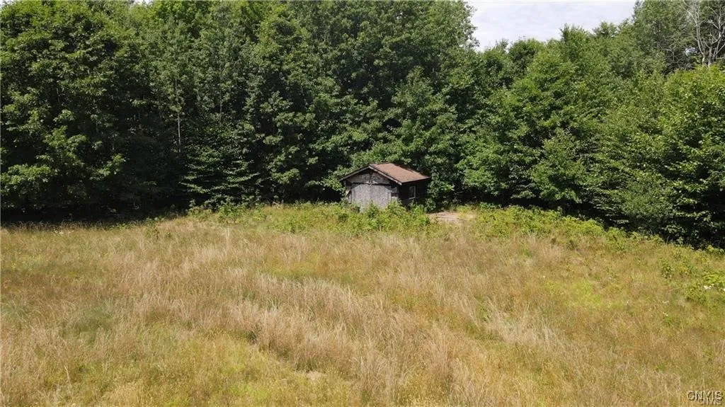 202 Furniss Station Road, Oswego, New York 13126, Oswego, New York 13126, ,Land,For Sale,202 Furniss Station Road, Oswego, New York 13126,0,S1633393