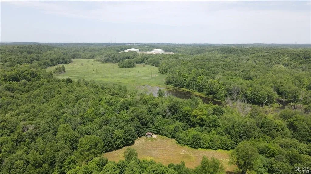 202 Furniss Station Road, Oswego, New York 13126, Oswego, New York 13126, ,Land,For Sale,202 Furniss Station Road, Oswego, New York 13126,0,S1633393