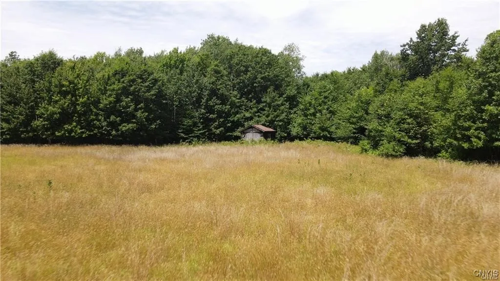 202 Furniss Station Road, Oswego, New York 13126, Oswego, New York 13126, ,Land,For Sale,202 Furniss Station Road, Oswego, New York 13126,0,S1633393