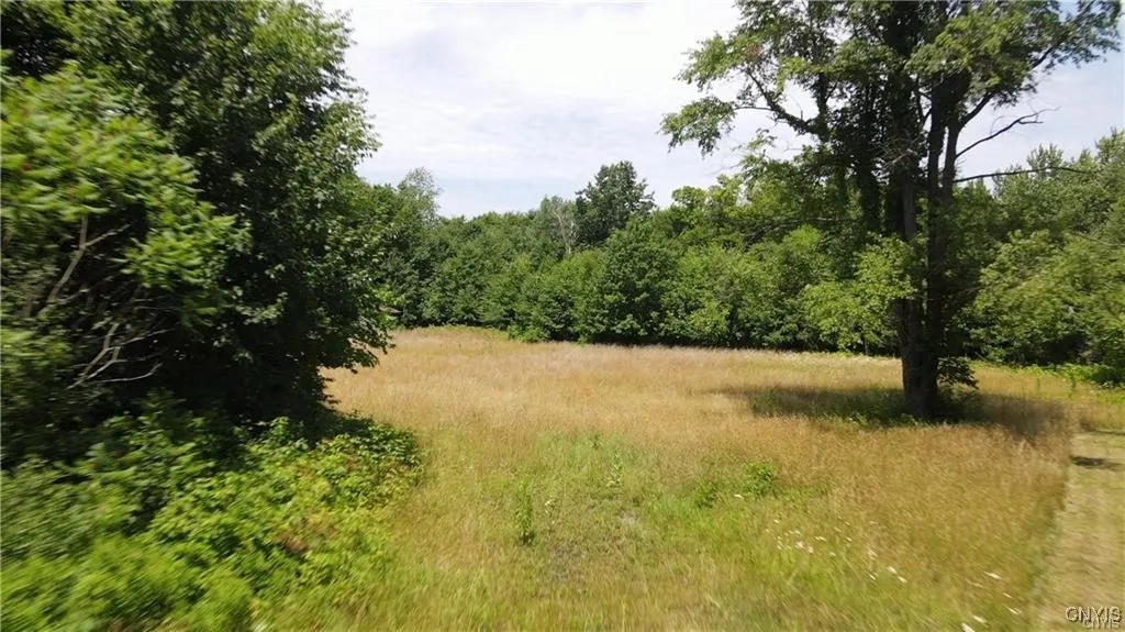 202 Furniss Station Road, Oswego, New York 13126, Oswego, New York 13126, ,Land,For Sale,202 Furniss Station Road, Oswego, New York 13126,0,S1633393