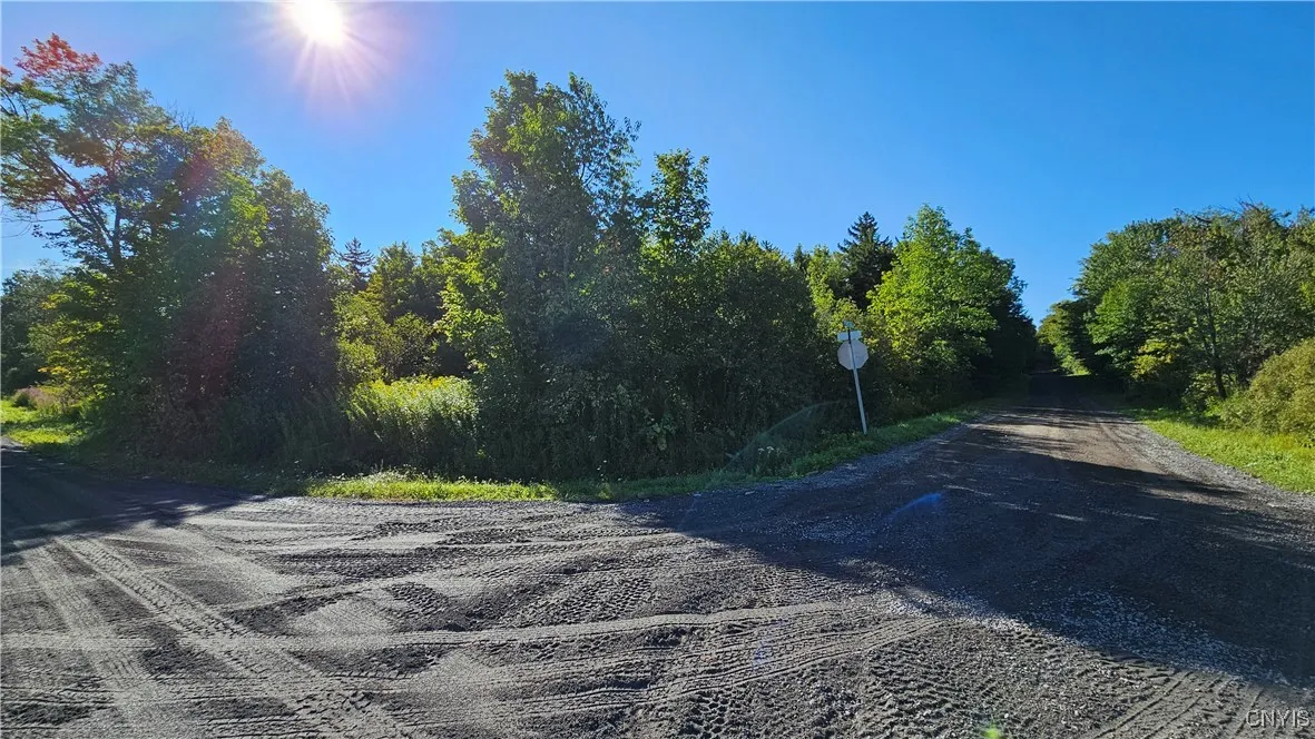 00 Rowsam Road, Martinsburg, New York 13404, Martinsburg, New York 13404, ,Land,For Sale,00 Rowsam Road, Martinsburg, New York 13404,0,S1634503