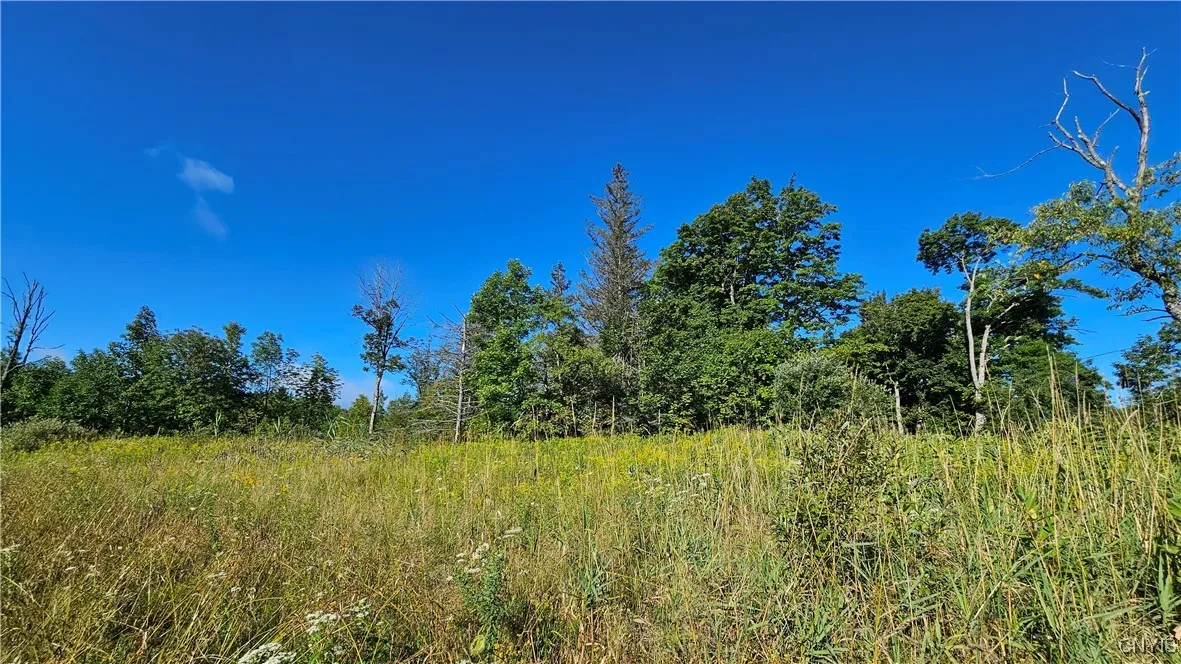 00 Rowsam Road, Martinsburg, New York 13404, Martinsburg, New York 13404, ,Land,For Sale,00 Rowsam Road, Martinsburg, New York 13404,0,S1634503