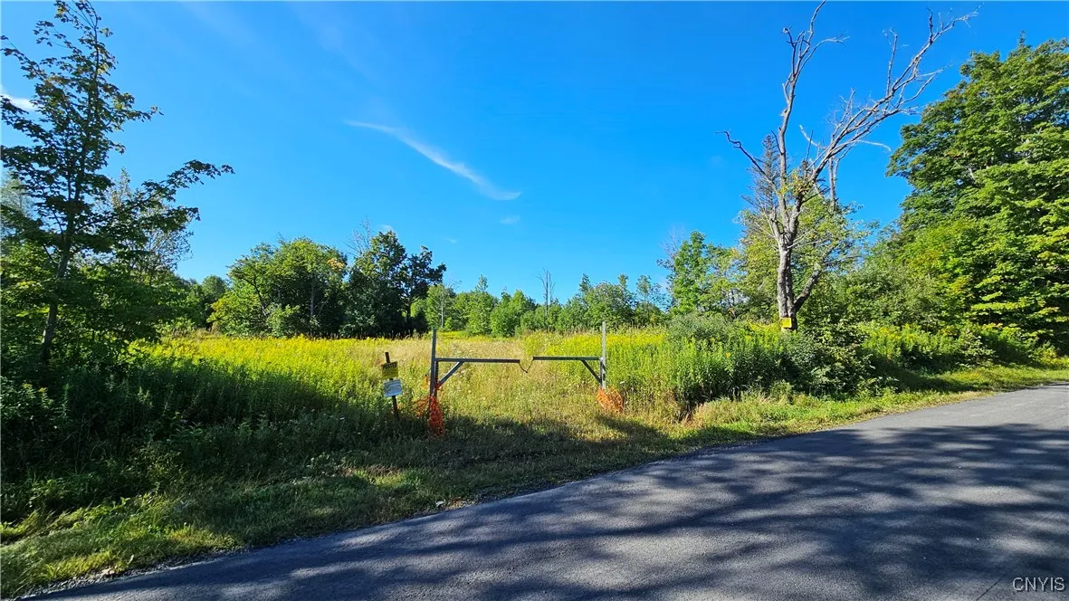 00 Rowsam Road, Martinsburg, New York 13404, Martinsburg, New York 13404, ,Land,For Sale,00 Rowsam Road, Martinsburg, New York 13404,0,S1634503