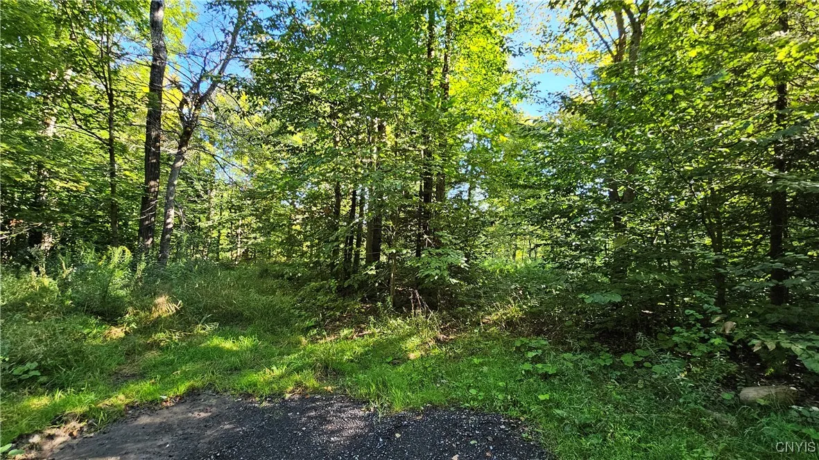 00 Rowsam Road, Martinsburg, New York 13404, Martinsburg, New York 13404, ,Land,For Sale,00 Rowsam Road, Martinsburg, New York 13404,0,S1634503