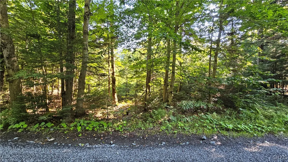 00 Rowsam Road, Martinsburg, New York 13404, Martinsburg, New York 13404, ,Land,For Sale,00 Rowsam Road, Martinsburg, New York 13404,0,S1634503