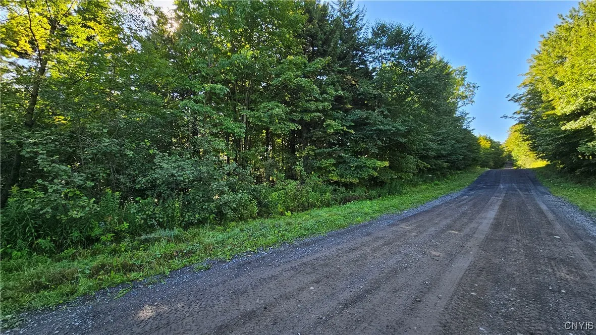 00 Rowsam Road, Martinsburg, New York 13404, Martinsburg, New York 13404, ,Land,For Sale,00 Rowsam Road, Martinsburg, New York 13404,0,S1634503