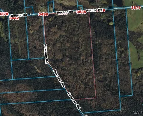 00 Rowsam Road, Martinsburg, New York 13404, Martinsburg, New York 13404, ,Land,For Sale,00 Rowsam Road, Martinsburg, New York 13404,0,S1634503