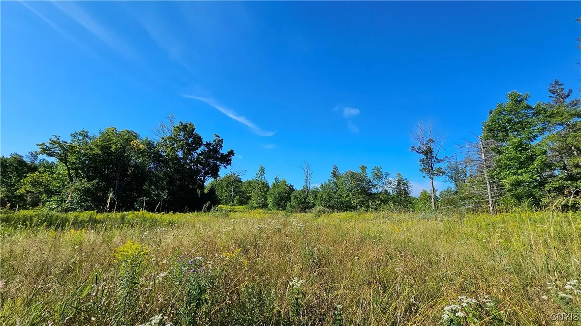 00 Rowsam Road, Martinsburg, New York 13404, Martinsburg, New York 13404, ,Land,For Sale,00 Rowsam Road, Martinsburg, New York 13404,0,S1634503