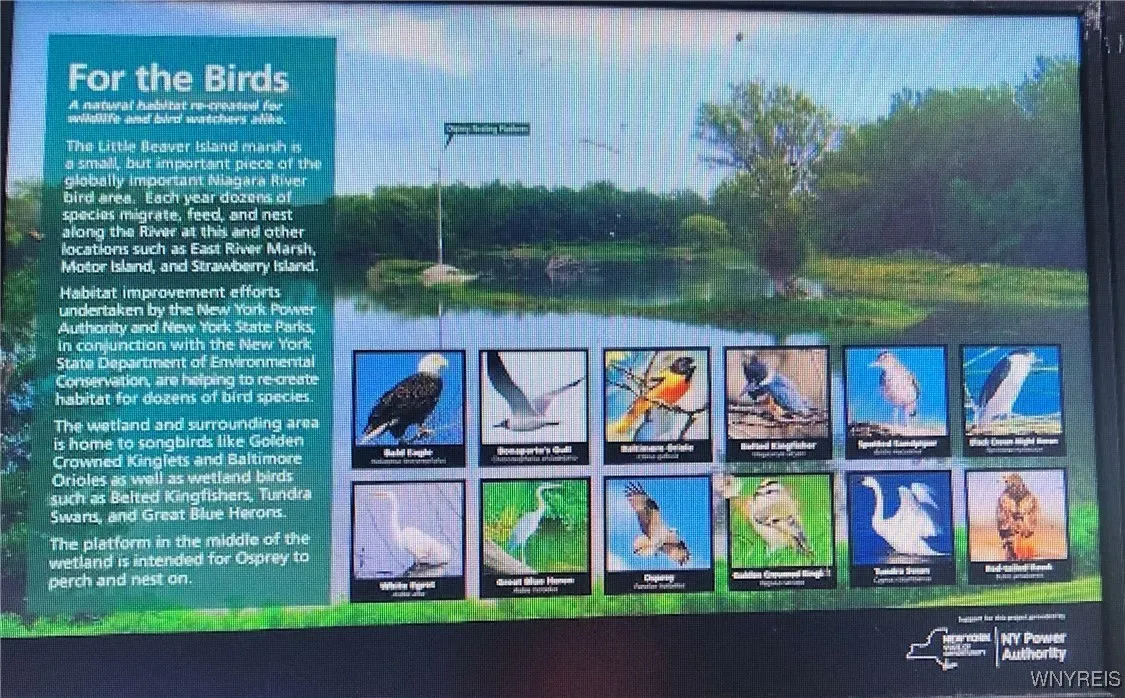 AUDUBON INTERESTS
