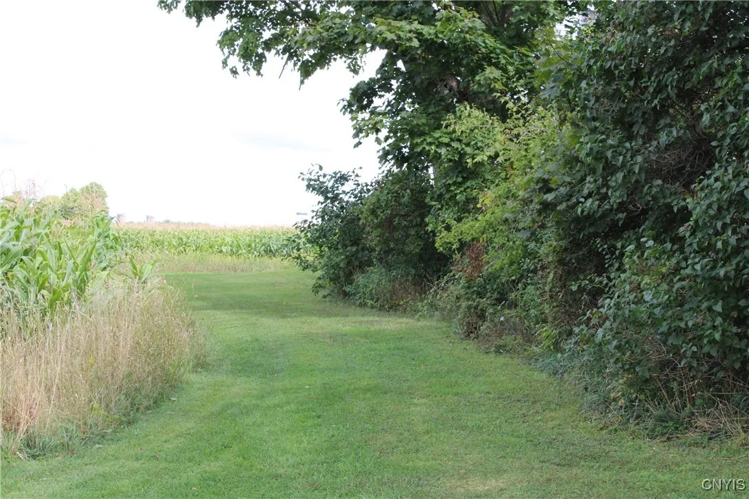 ONE ACRE LOT AROUND HOUSE