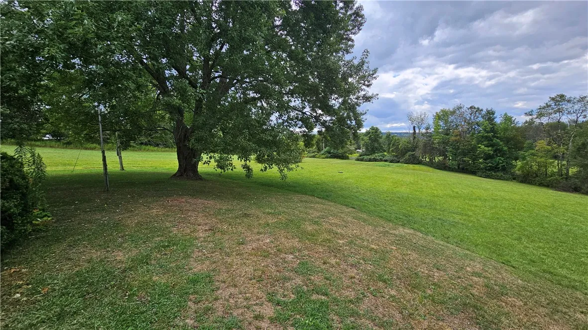 View of front yard