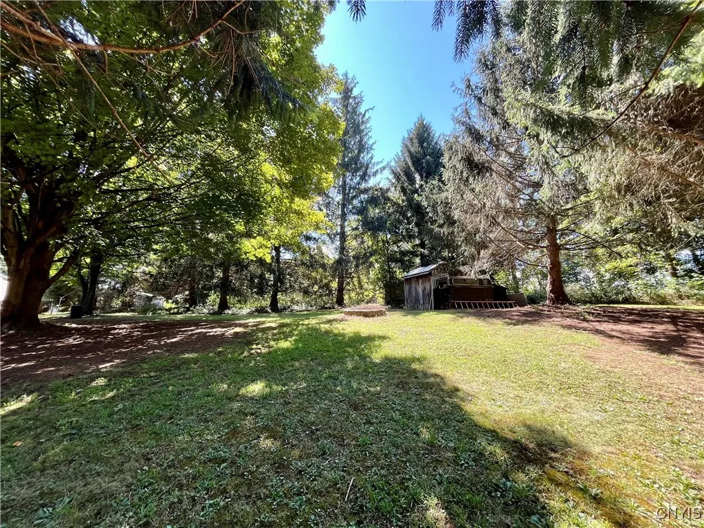 Huge back yard has a shed too!