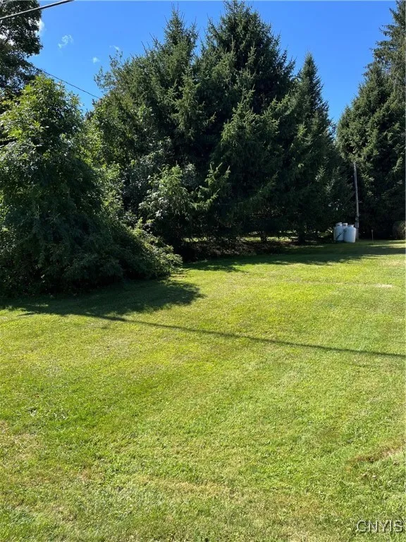 Front side yard