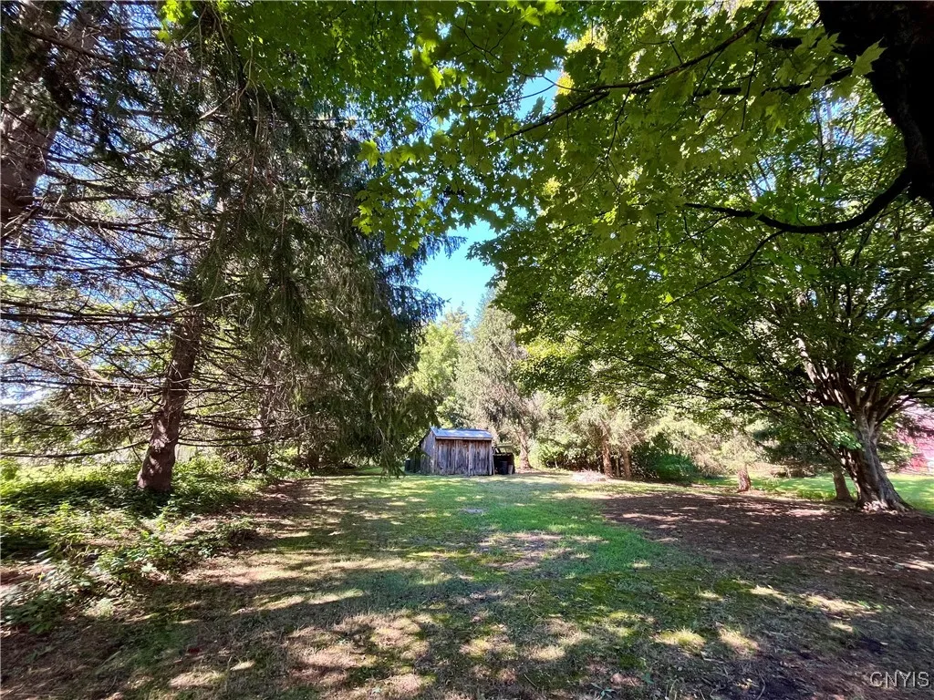 Tranquil back yard is very private!