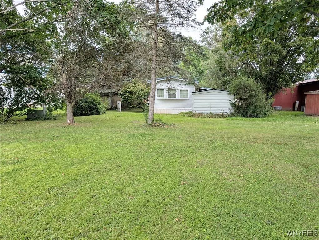 large backyard