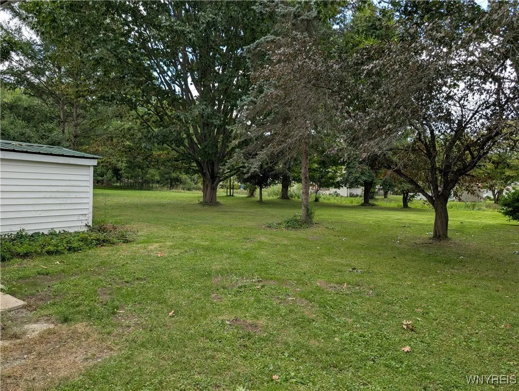 nice backyard