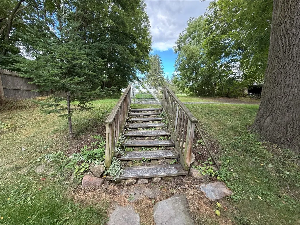 Back Yard &  parking area