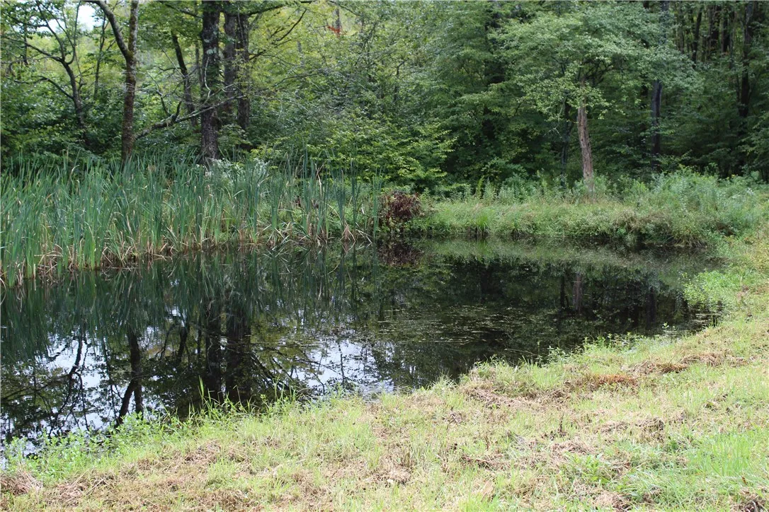 622 Bobs Brook Road, Walton, New York 13856, Walton, New York 13856, 3 Bedrooms Bedrooms, 7 Rooms Rooms,1 BathroomBathrooms,Residential,For Sale,622 Bobs Brook Road, Walton, New York 13856,0,R1633988