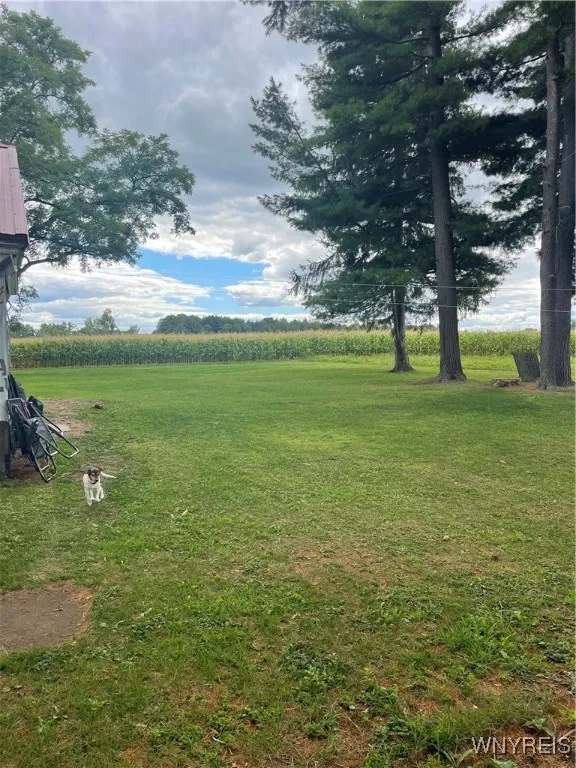11339 Merwin Road, Hume, New York 14735, Hume, New York 14735, 5 Bedrooms Bedrooms, 10 Rooms Rooms,2 BathroomsBathrooms,Residential,For Sale,11339 Merwin Road, Hume, New York 14735,0,B1634563