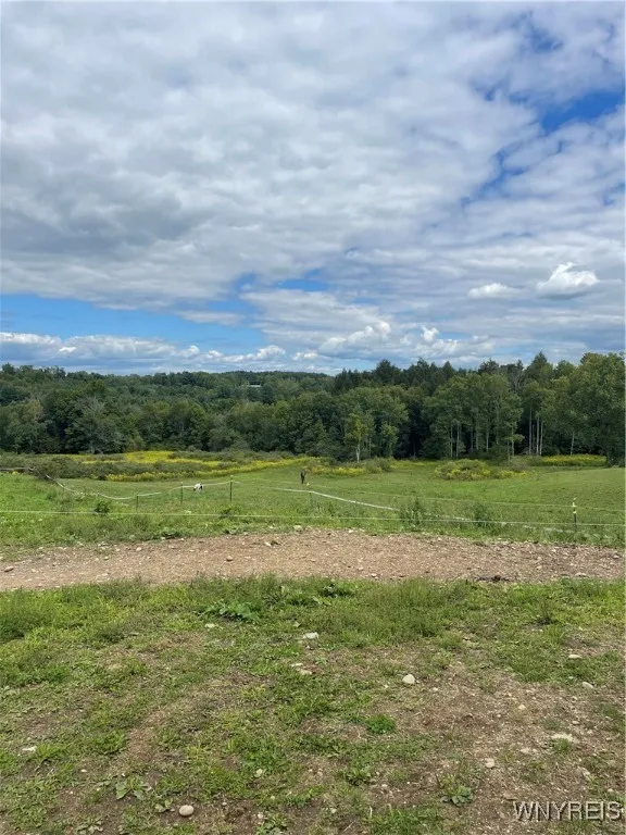 11339 Merwin Road, Hume, New York 14735, Hume, New York 14735, 5 Bedrooms Bedrooms, 10 Rooms Rooms,2 BathroomsBathrooms,Residential,For Sale,11339 Merwin Road, Hume, New York 14735,0,B1634563