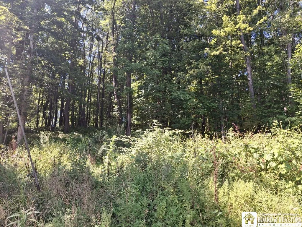 6517 Us Rte. 83 South Road, Cherry Creek, New York, Cherry Creek, New York 14723, 3 Bedrooms Bedrooms, 9 Rooms Rooms,1 BathroomBathrooms,Residential,For Sale,6517 Us Rte. 83 South Road, Cherry Creek, New York,0,R1634582