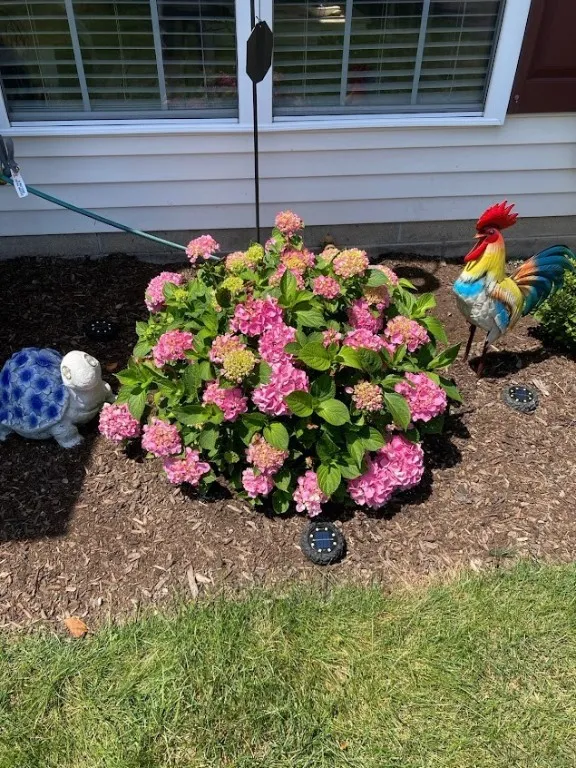 219 Rayfield Circle, Webster, New York 14580, Webster, New York 14580, 2 Bedrooms Bedrooms, 5 Rooms Rooms,2 BathroomsBathrooms,Residential,Closed,219 Rayfield Circle, Webster, New York 14580,0,R1634641