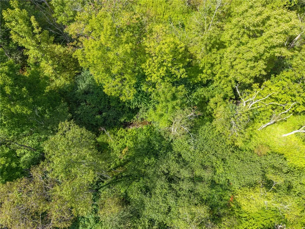 212 Morrell Road, Worcester, New York 12197, Worcester, New York 12197, ,Land,For Sale,212 Morrell Road, Worcester, New York 12197,0,R1632457