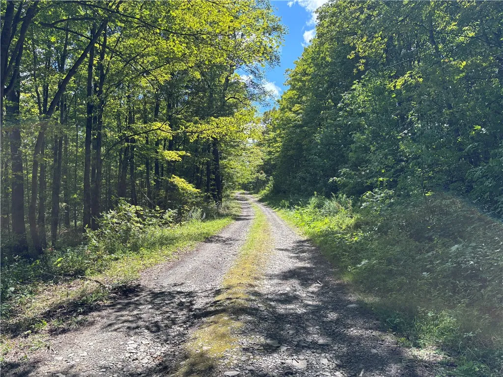 Joe Chamberlain seasonal road at the end heading up from the property.