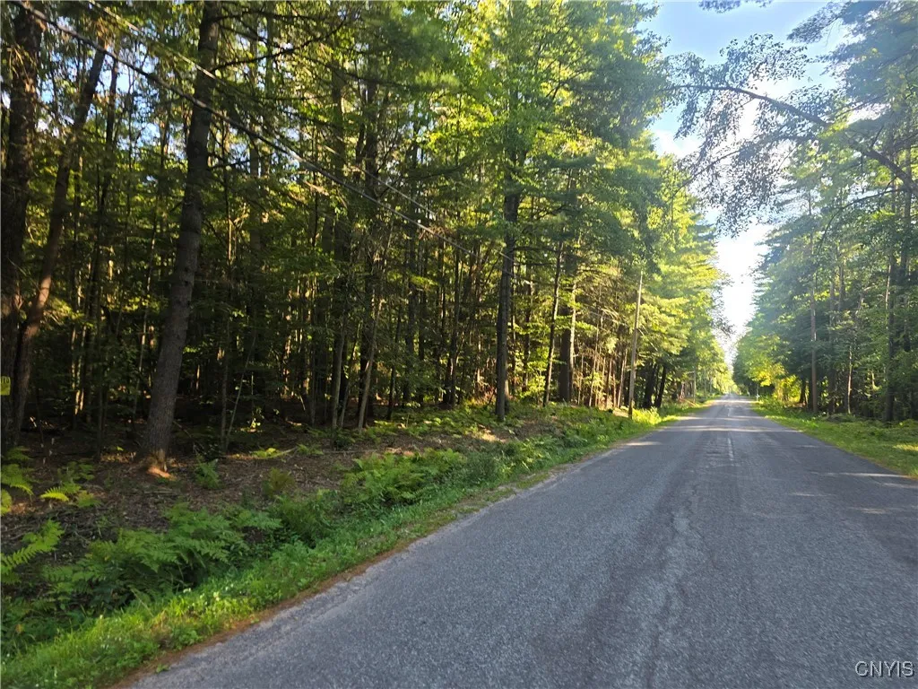 0 Hall Road, Vienna, New York 13042, Vienna, New York 13042, ,Land,For Sale,0 Hall Road, Vienna, New York 13042,0,S1634341