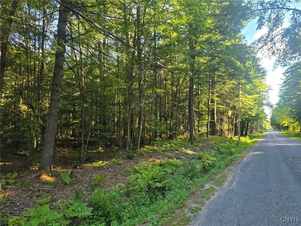 0 Hall Road, Vienna, New York 13042, Vienna, New York 13042, ,Land,For Sale,0 Hall Road, Vienna, New York 13042,0,S1634341