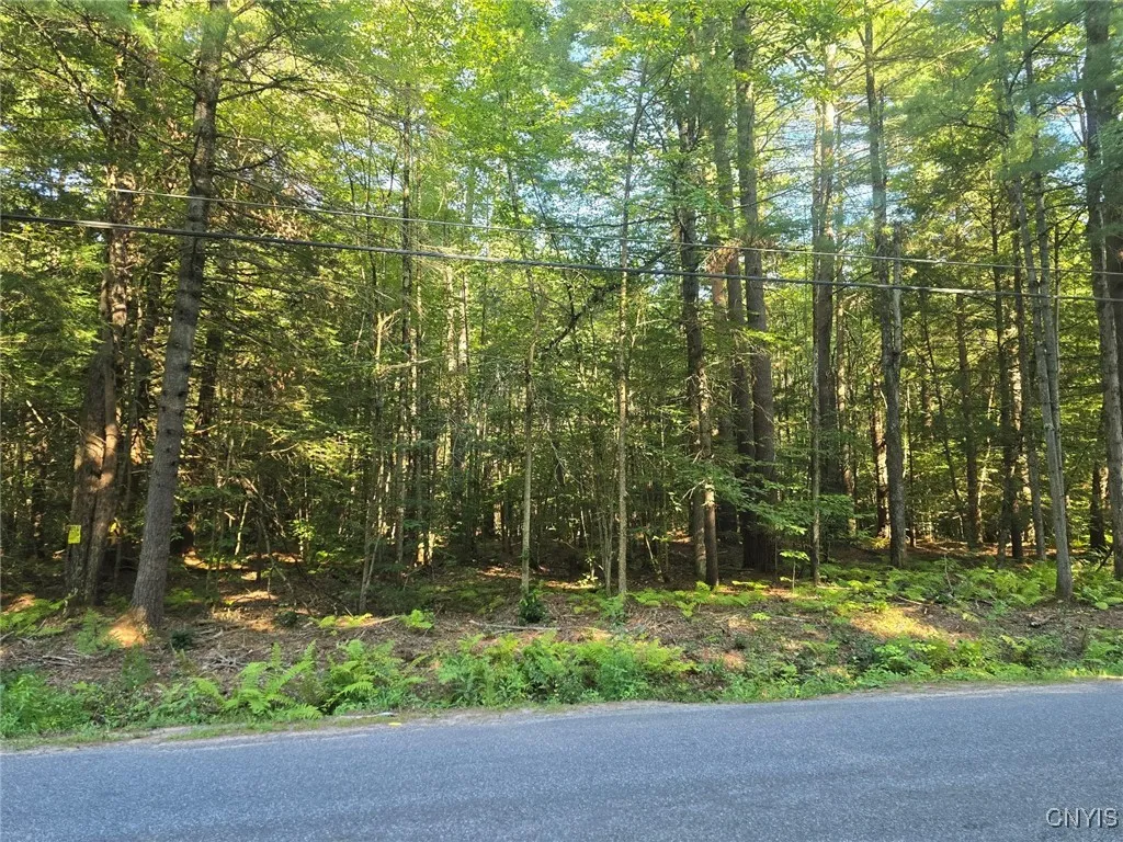 0 Hall Road, Vienna, New York 13042, Vienna, New York 13042, ,Land,For Sale,0 Hall Road, Vienna, New York 13042,0,S1634341