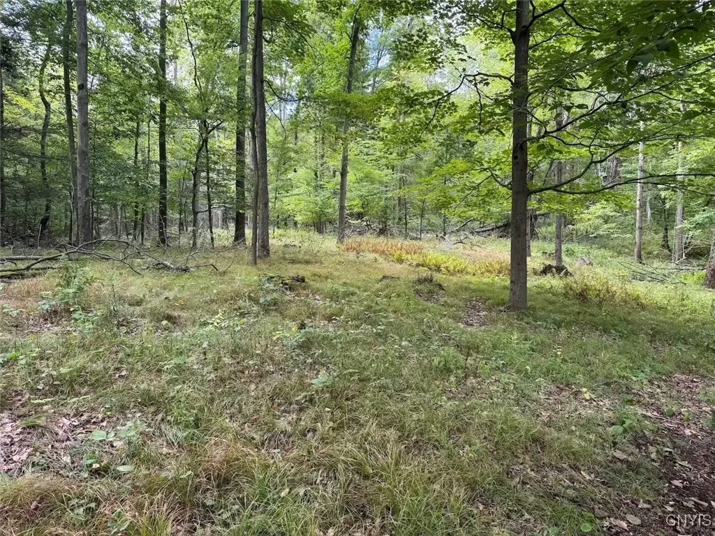 County Rd 27b, Granger, New York 14735, Granger, New York 14735, ,Land,For Sale,County Rd 27b, Granger, New York 14735,0,S1635266