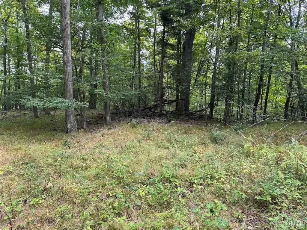 County Rd 27b, Granger, New York 14735, Granger, New York 14735, ,Land,For Sale,County Rd 27b, Granger, New York 14735,0,S1635266