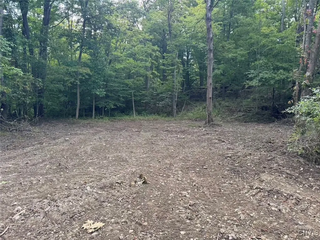 County Rd 27b, Granger, New York 14735, Granger, New York 14735, ,Land,For Sale,County Rd 27b, Granger, New York 14735,0,S1635266