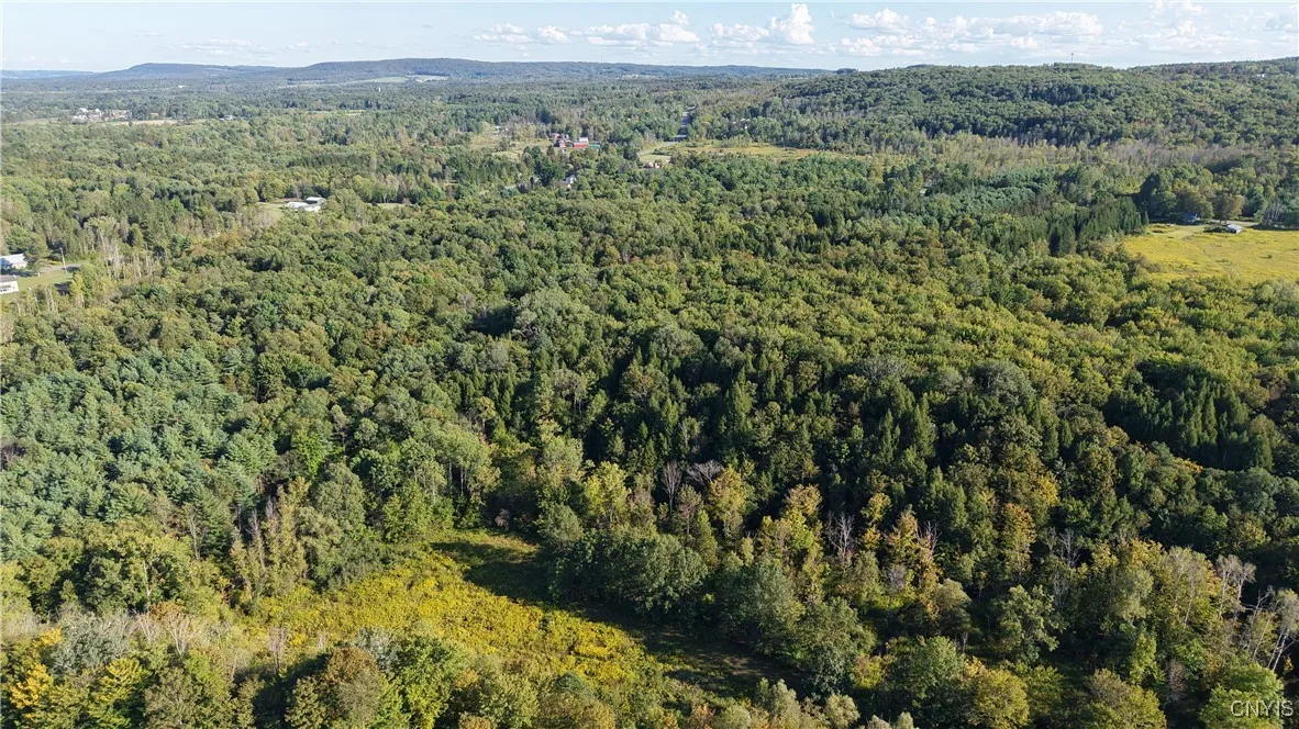 Nys Old Route 12, Trenton, New York 13354, Trenton, New York 13354, ,Land,For Sale,Nys Old Route 12, Trenton, New York 13354,0,S1635259