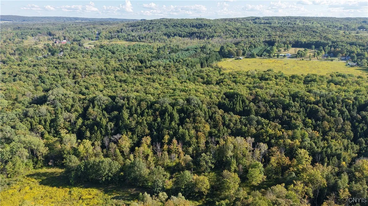 Nys Old Route 12, Trenton, New York 13354, Trenton, New York 13354, ,Land,For Sale,Nys Old Route 12, Trenton, New York 13354,0,S1635259