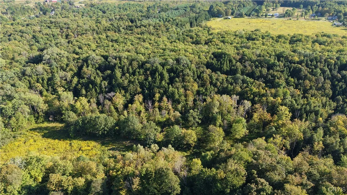 Nys Old Route 12, Trenton, New York 13354, Trenton, New York 13354, ,Land,For Sale,Nys Old Route 12, Trenton, New York 13354,0,S1635259