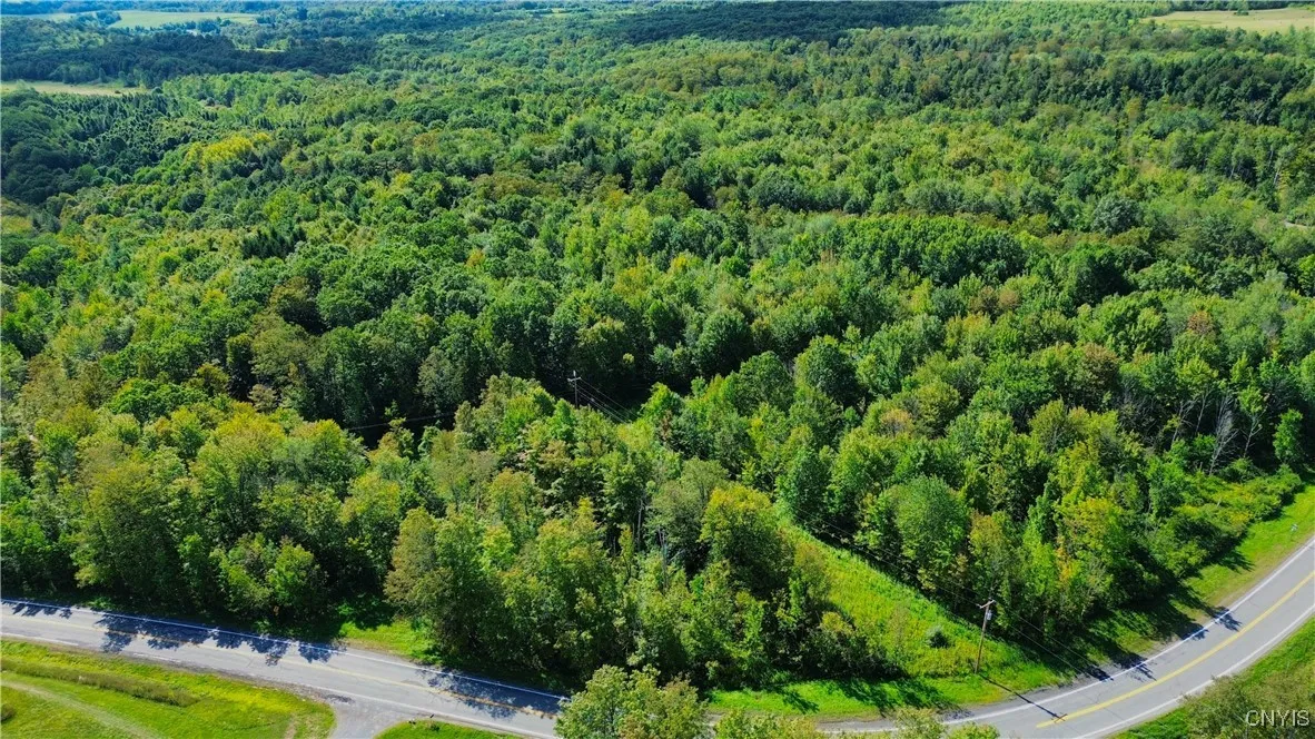 Lot 5-5 Paines Hollow Road, Little Falls Town, New, Little Falls Town, New York 13407, ,Land,For Sale,Lot 5-5 Paines Hollow Road, Little Falls Town, New,0,S1635385