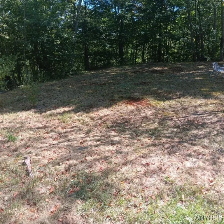 rear of property